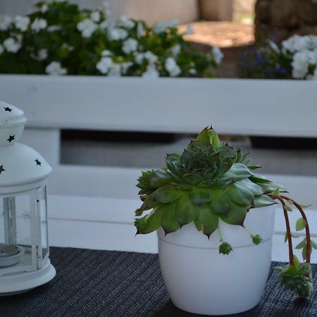 Apartman Kamenar Rijeka Extérieur photo